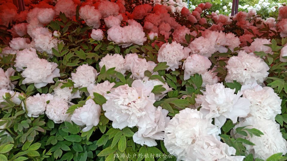 0rKuZwWVgv0EcvYLm5YUh3V8aXvR90SB56N9ukbk7OiIzW3CviSW3iS0XloPPEA4