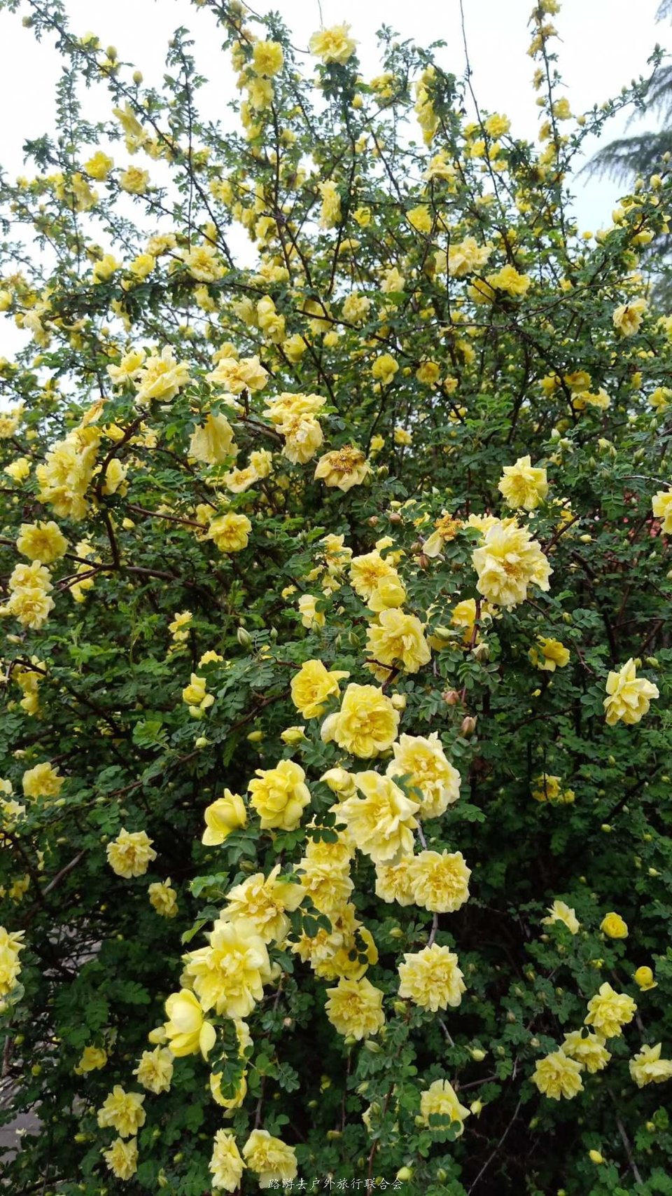 36EWP0kEeY6_PV-fVQj9b5-sOe61iJVCZ2IRWLJhCNlACGaIx3rdydeRChFAYQ2y