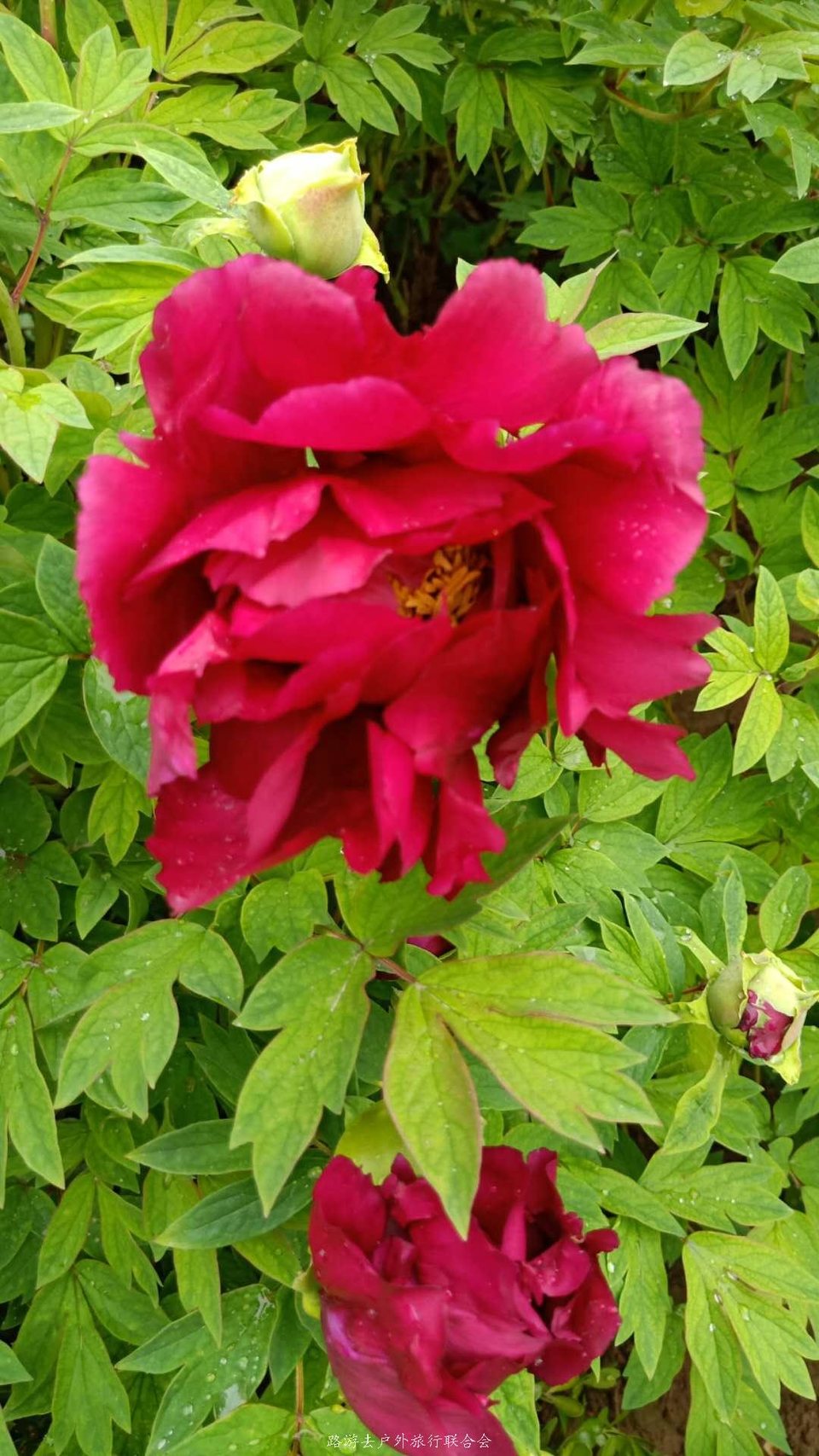 n8qvzh5MkdePiMxDO5-JL4et7X2IcKyoxzcH7t1IKp8gHOoEHGWv9iIdPbq0Ofc9