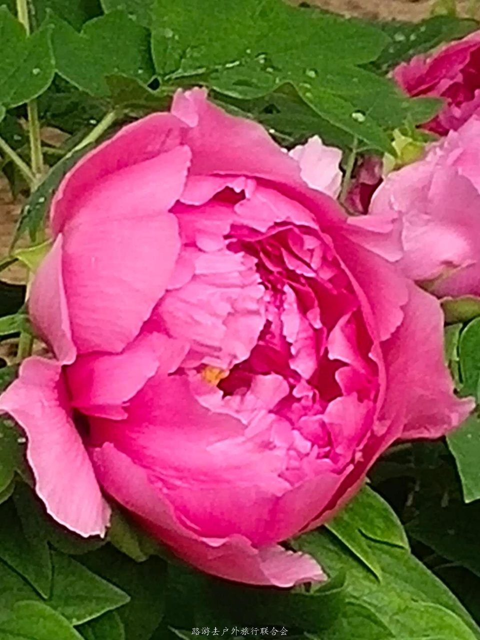 _WBxyX4oswwUhHO9_SX4q6RC9xjHbU0ucmogBZmenwj8GN8QV5DSvOLyjOWYhLHx