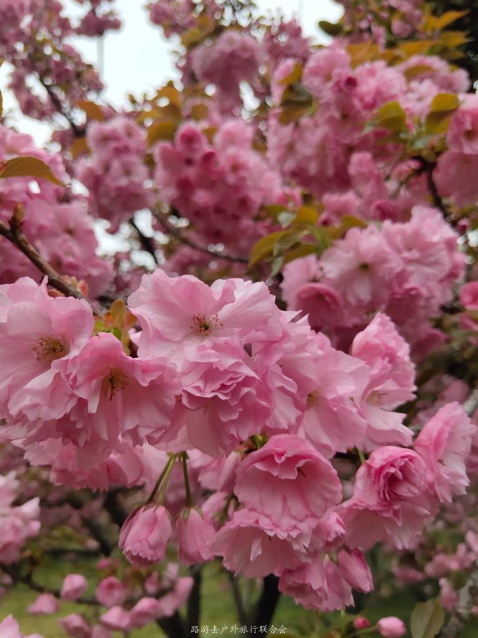 VASbp3OV4UY5-wwSQFxz8hI_LnArCzThIg1xPVRELKFOawz_EKa7z9LBKFoLdKFh