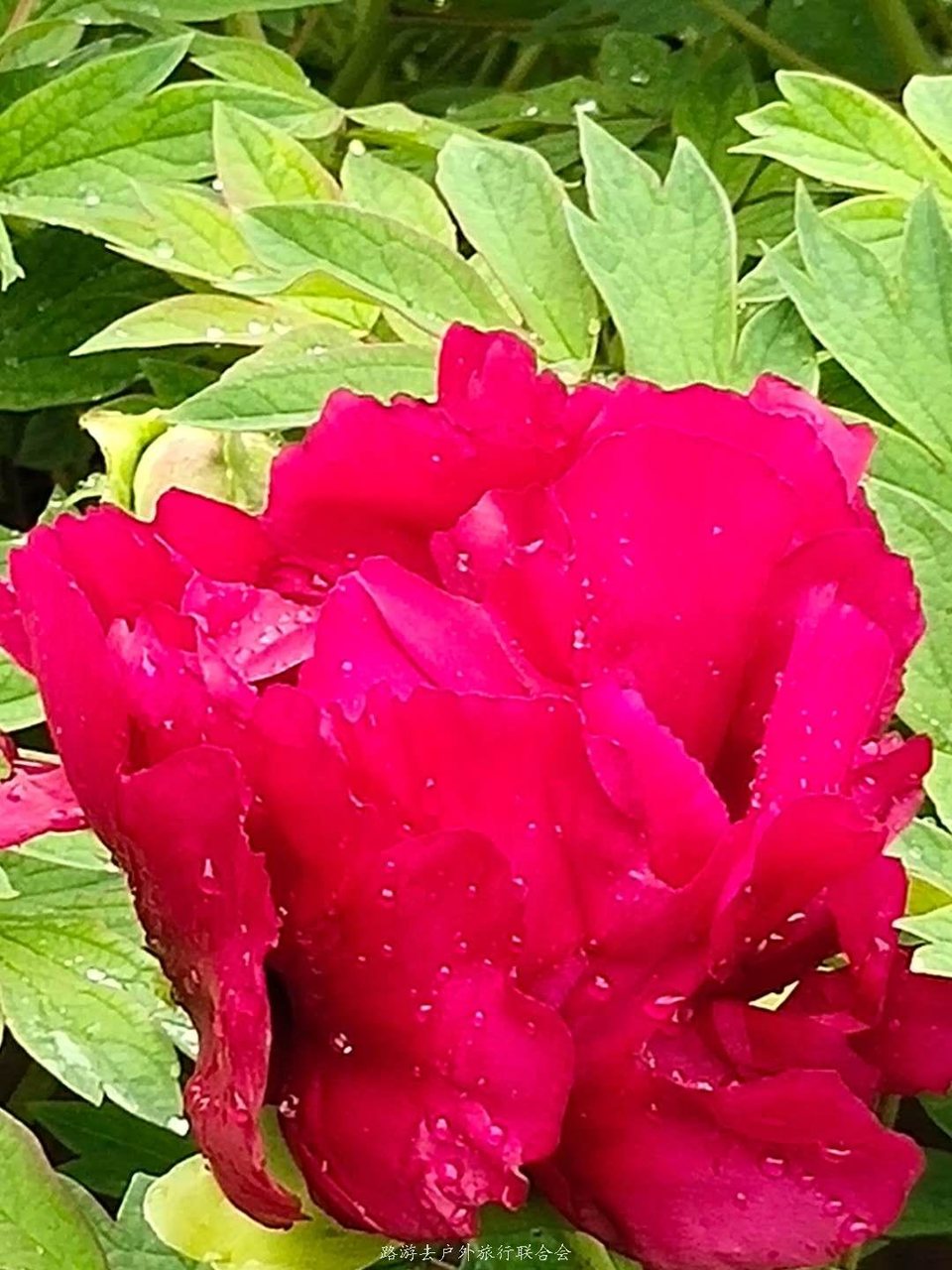 XWypss6oozGhhfOUurZzTHrquikAb9-DLpmVC3Ta3IgJGOtpBdinqtcvIBTqtchi