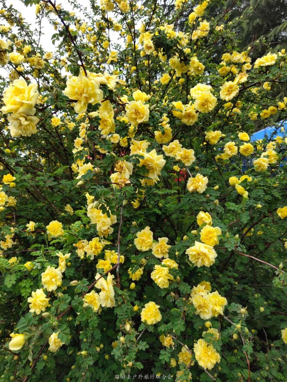 k5hrJy8H_znRE35r2OAbK6qtsbzEcng0_lK_EnPTQ4OZ2BjbEtM3MYr82mcHsE7z