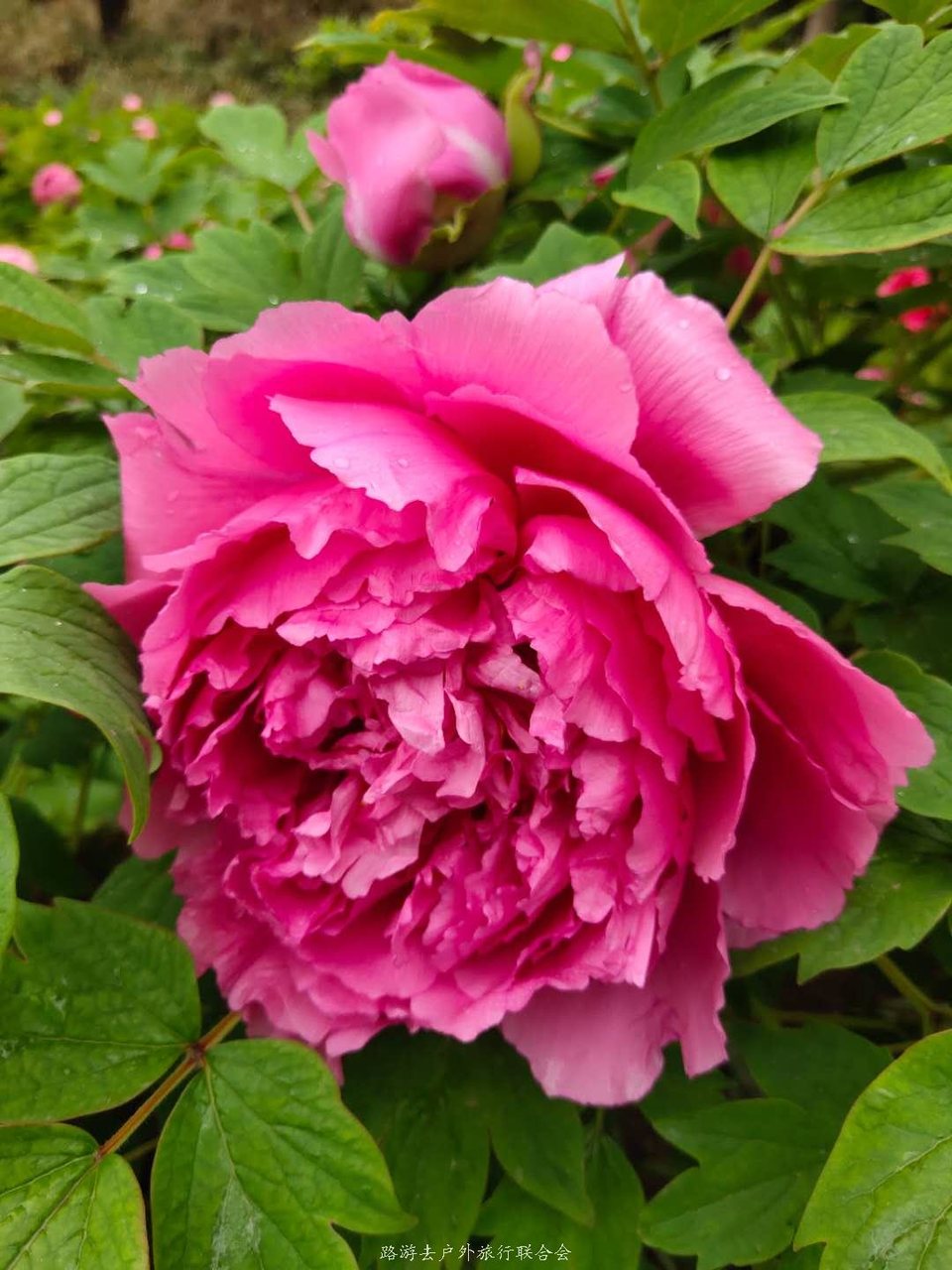 JnweCWqouyrSIfqvC4jMMXYWidxTO8DgdjYmSwLGFK0dW8yL-IwXEb05CZahpBBK