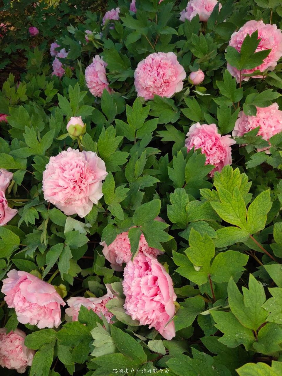 RmLJ0_3pvSBbaNXclzDTsMFmTwUb6sJTfXIIcS3ag9rbH0ezxDn3hPTKcrdo2zpd