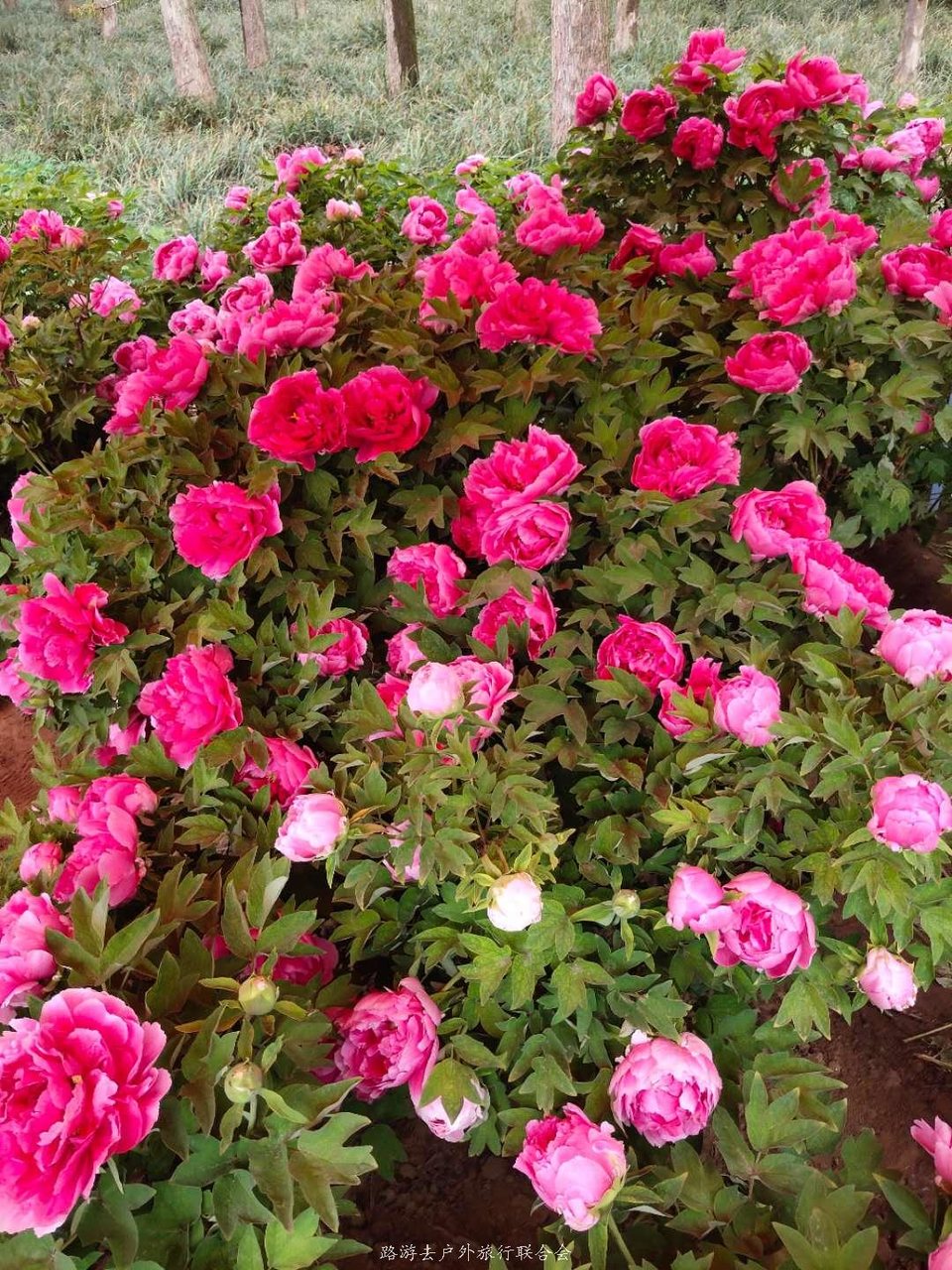 bXi55TRG2DNqQpQnhyjx1de4PgEoWr9gouO8Y9jdP2Ml3kvvaM867sW9hOXfltzx