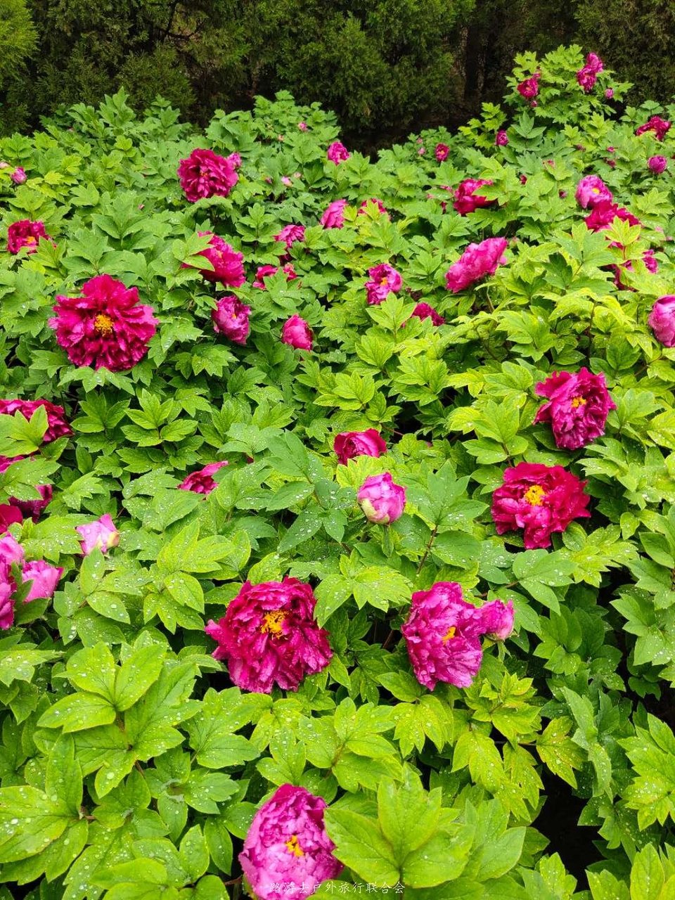 VxX6WXtXAx-t8OcOu6hXODGugA_zwm-rbhgCy-2z45hhlgPfmpiNf3W8GjKzaMGO