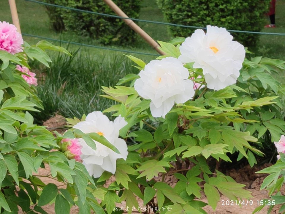 mGu9fdSBS-5wcpzhEeUx1pWRqtXVKswERwV0EQrmEYeEwPoTjKPwis4pIDFpYe80