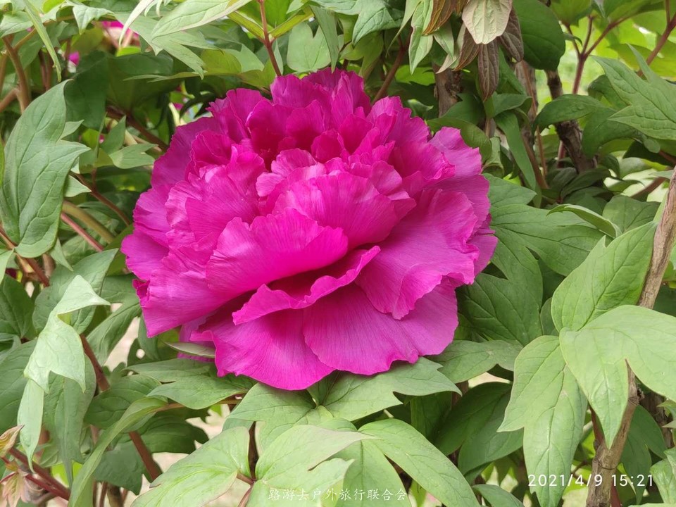 yhSwu5A25Ik2KL9Ndw-cv_ScEb20TjwnbC3gO4APE_ICvplPUss23GXTlXoPWmx_