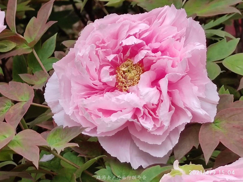 pdsSIHMuKGW8mEeQ3g_y7yk3yS-uBd9V0bjQpcLQ3UTXmVE20jlrYuGEHJtuI6F9