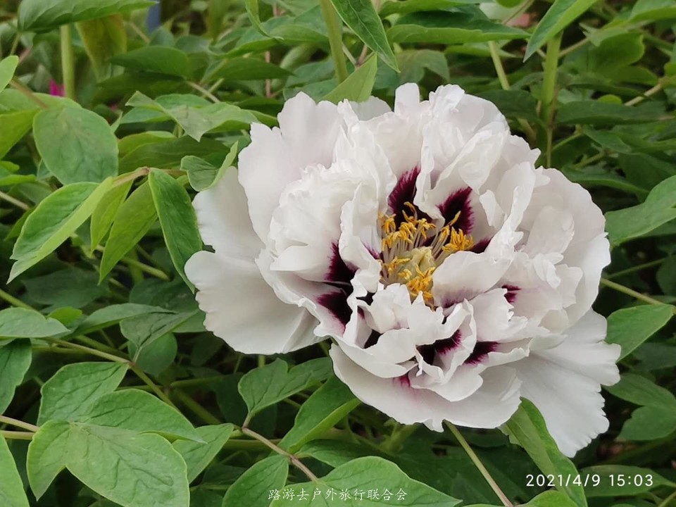 lASkToWRhnvW6Hl5Ik65y2DCONa5H69IJW_FZQcG9cnwJUcYKVTNPvT0rnLtTHdD