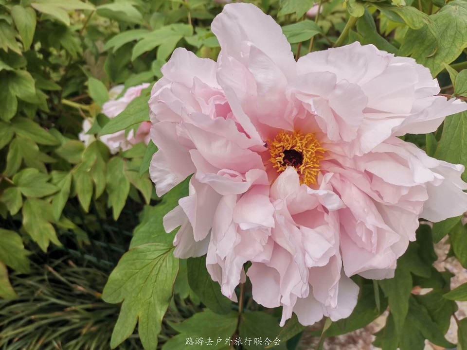 TascHnK-Lz4thieJuPc6xZYbmmMIIc70ip-ga6w16TRDdZv-cBpPO4YogdeOp761