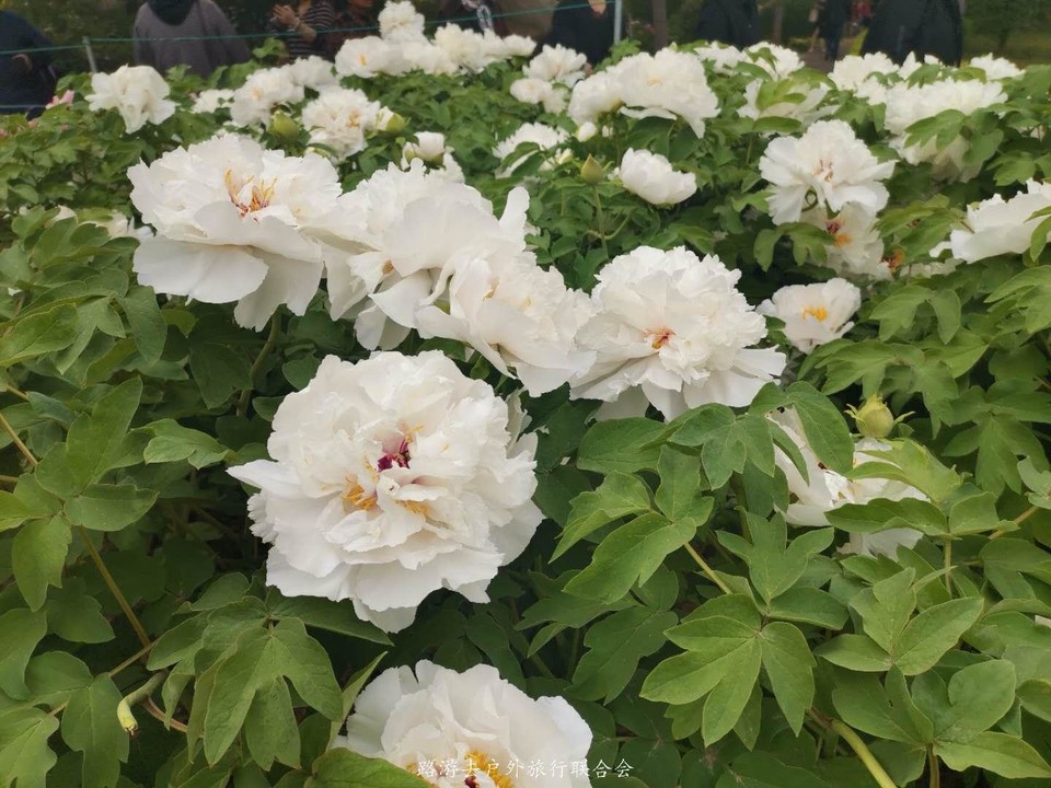 YXPfLaZguoRMlg3AzUnrnnZuDAXzlJD_mjij-94JrzylgPAMhbz9lYlg0SSLLl1m