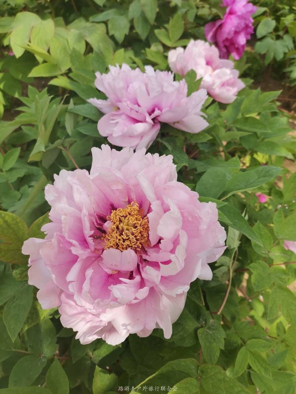 G5JqHFAV1rloDm4qykfqVgInpaxwHJYZrRizsSFyfTQdmN33NwMuf1qnoMSM617i