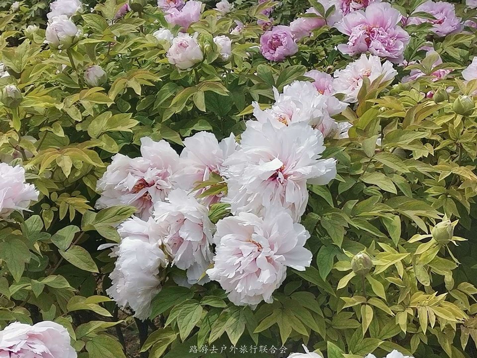 025UW6iDBpKTJmpkTjrk_WA0_a3y-1t-RY1xTGbJq0hZ58RA1IU209G596QBu6Up