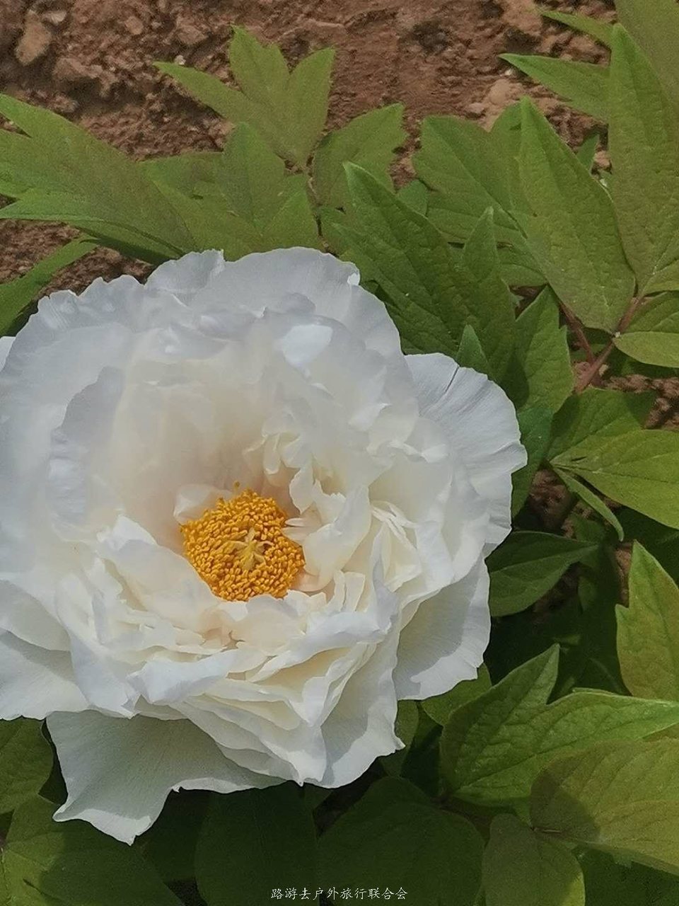 ABuUXb_2Nl81relBm8_ndnq0CgkE2pA3opdaP0sQKY6YfRMJ3red97T0H50k--2a