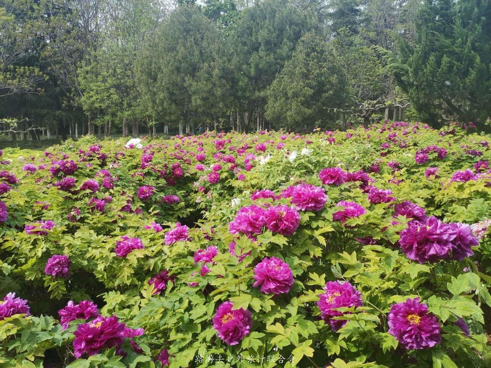 MT7UtZenJbzw_P56K5nMclW3RyMsvSM_TE8BqHhvB_wJRYTmyL5JzqXMmUo2JUv-