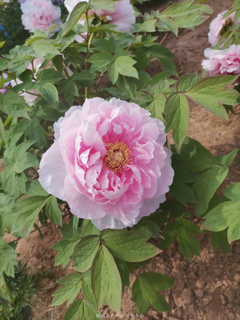 XPq8uVSOpRaCiO9__imdwCWw9eAjKM-M7YZW4sS2cXiNm9NHsILnG39eXAebHn_G