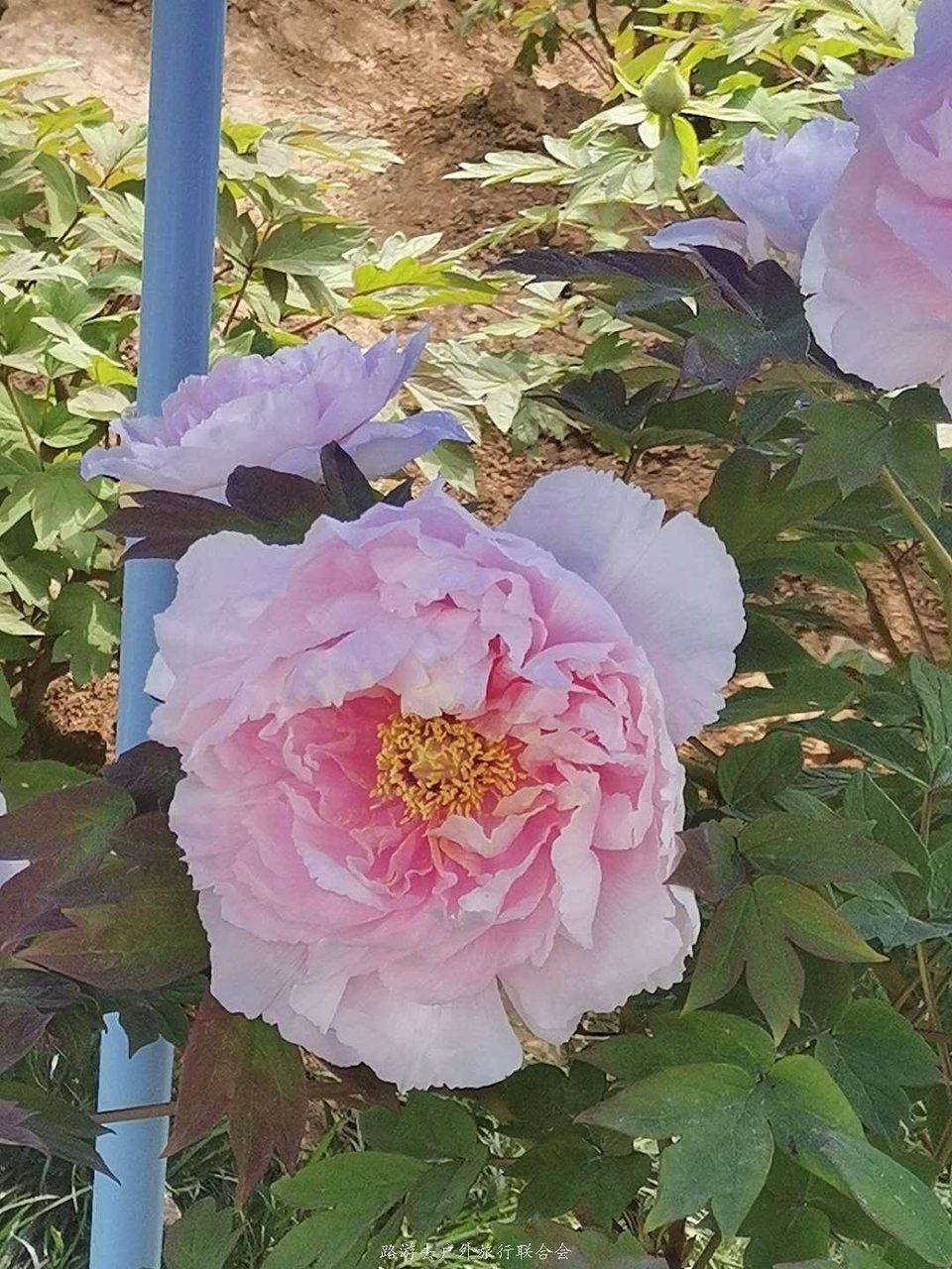 yz8a60SlfsJVF2NgyHTscUYsVlZ_Pg3Xb-qDdAvnsPlYdX-iyRjwxQDKIx-jO5EO