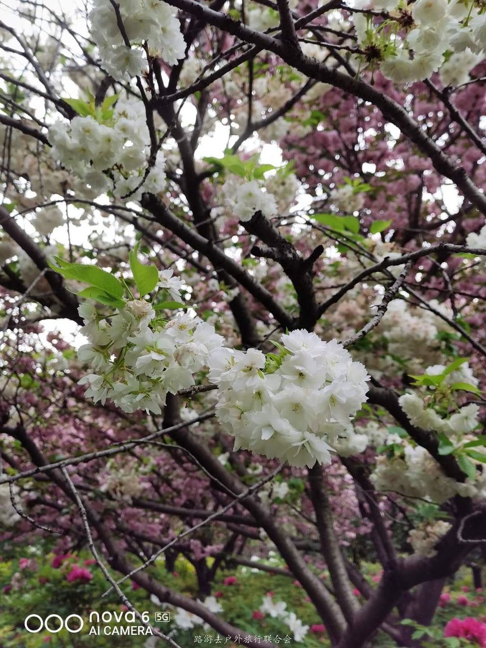 N9w72_49h79HP04gqe8R2afrFMXcLS16_CnMzW62COjPU9CxMa3V0fIIetFKmet8