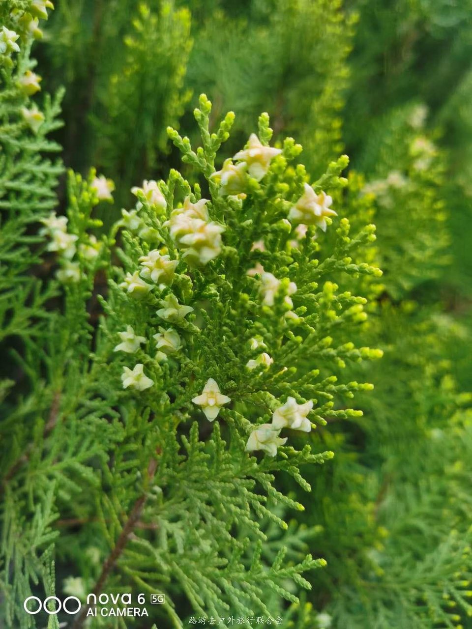 -zdIq-ZUfBmt1bAxZW_ZY5laX7QNEP_1hEj5Nv5KxRUGJGcxe8D9oG5BuAFOJt9R