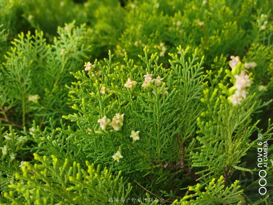 ibVpRqjEvvvY74QW9ACKiREN3_DpvdZuxigw9Y2YCKqViFmitG38i_wjzyyrBGF7