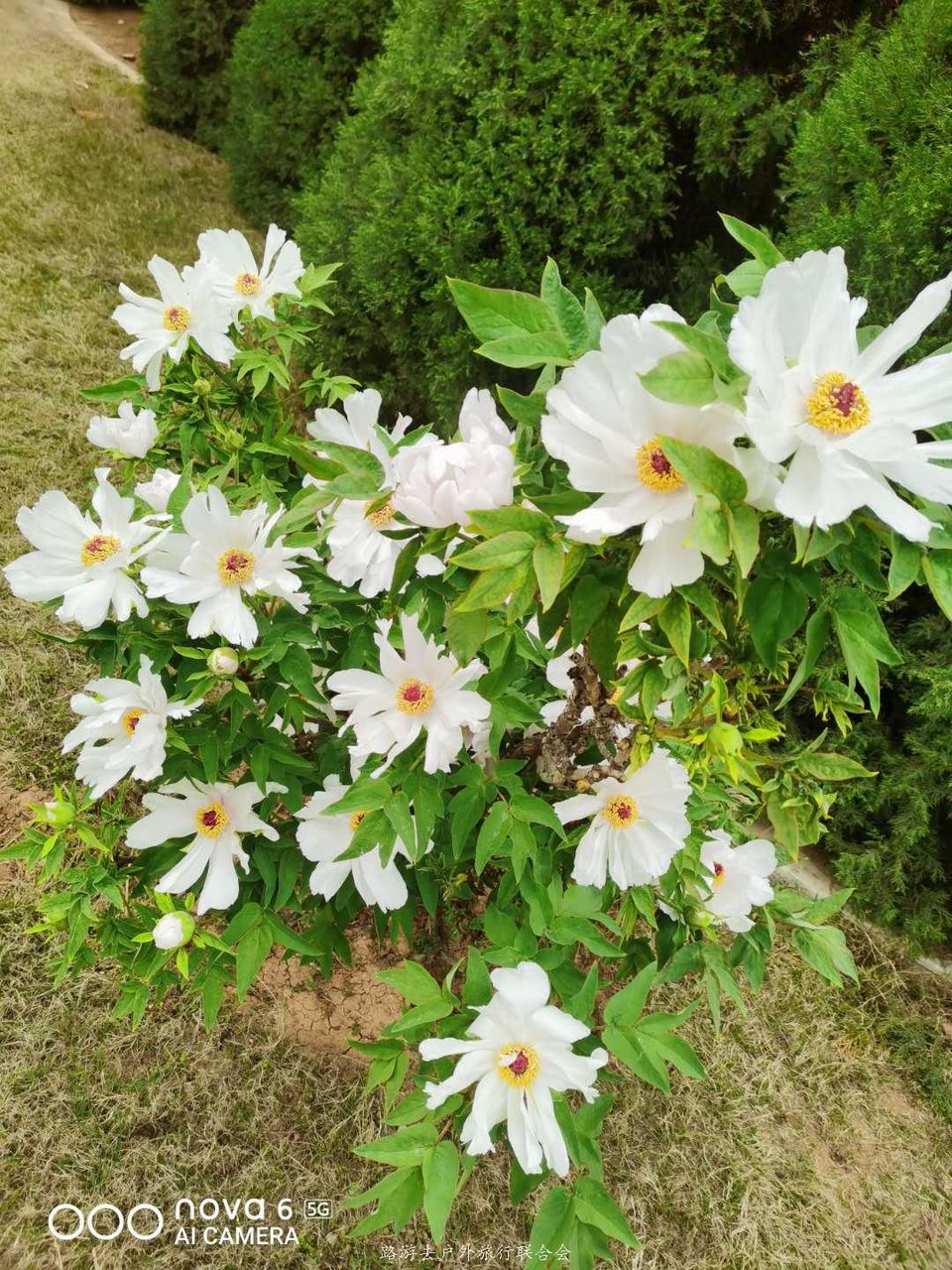 F2olMvOuJiRbY26XWfV2dOaGR0mzoUA7gShw3St1gx5PPnywF9VtSq_76twU__cf