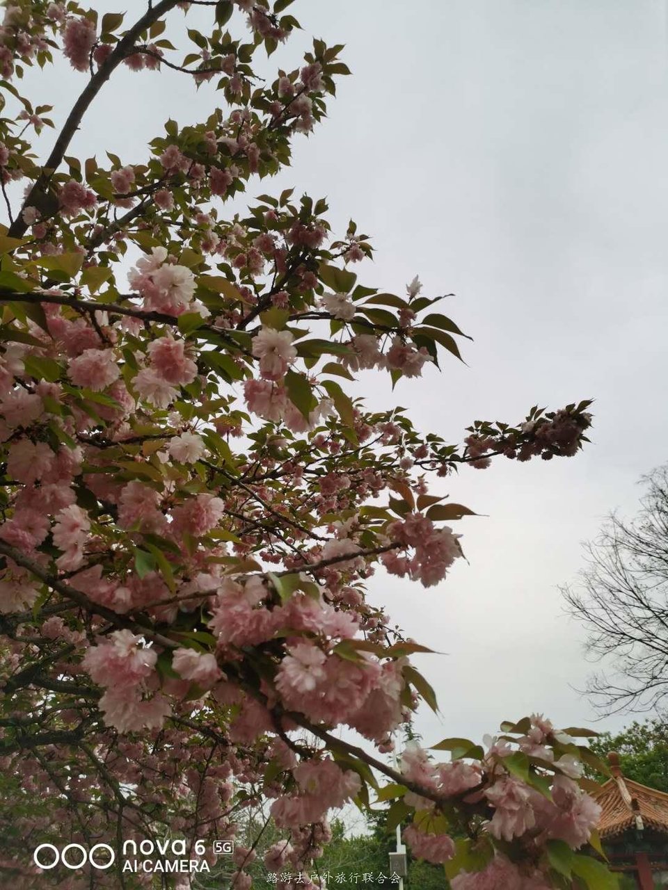 8WYjlRbsao037wjKuwehSsQ6GXnSzQMg28vC9L2TK7rU9QvnifvnSe_hznCGs0BF