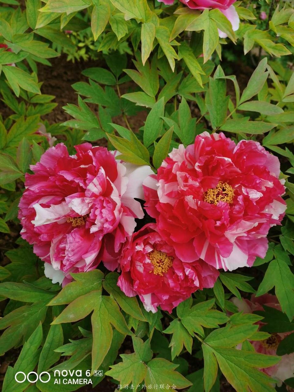 VFr0zpKOA_rZx8tYT4P_jv_06W_3wFmG0LTgIIg5Lx_Jkau93N-SZYMZmWJV7T4r