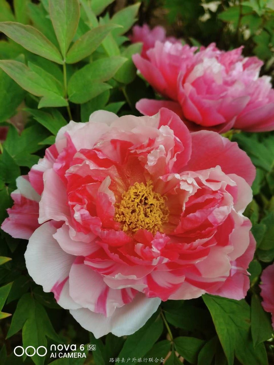 XJWS9LH8wEA_fHJD45aUZGJd37myTJGKzlXtS1L-MzOMIT2xZwIubJinC_bN1x9z