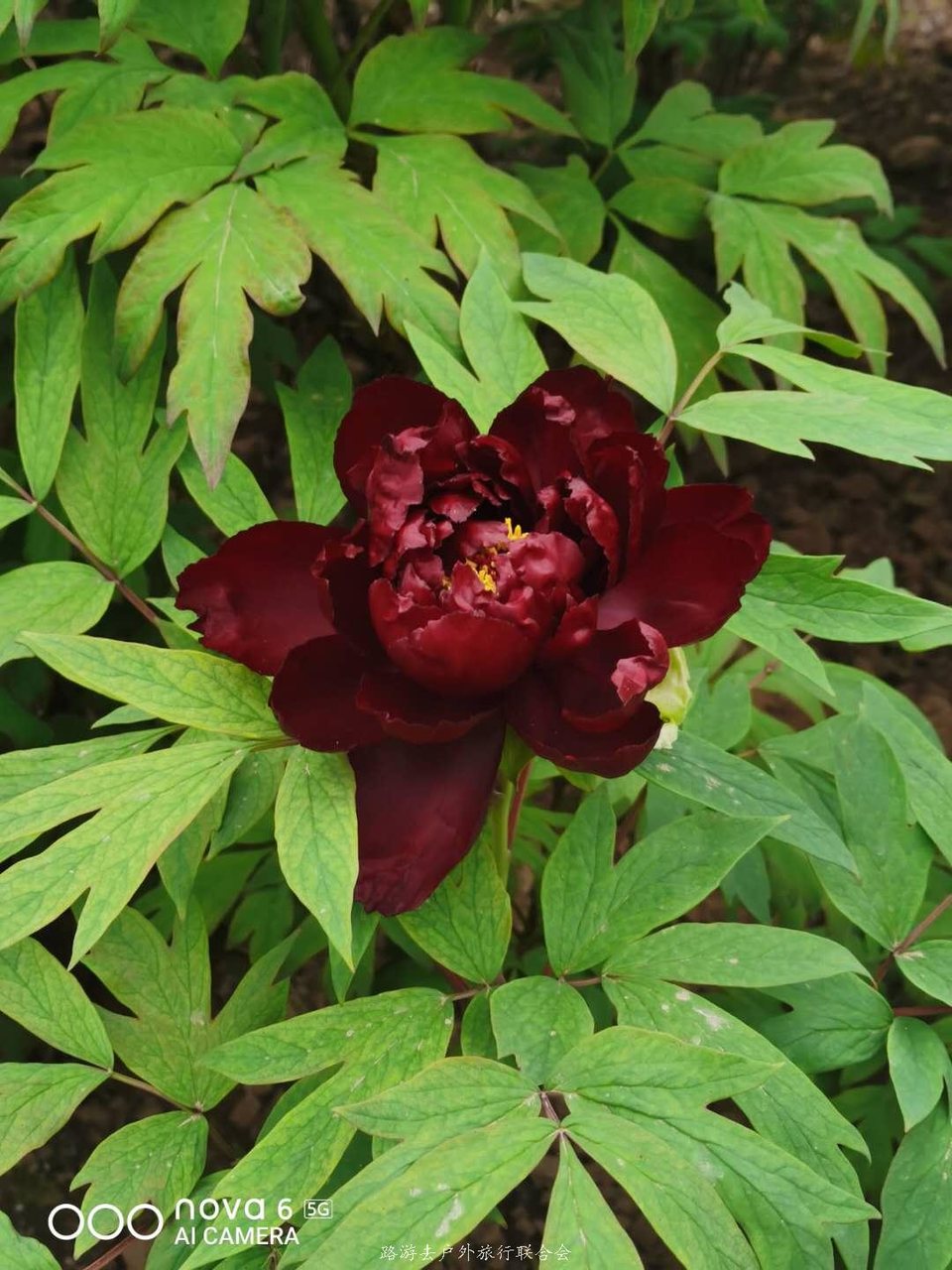 oZ1NW6DXlbM7RMysdngcE4VE13Xrc3zHF0Qv7CUBaY_z_ympktq88T9aNfw0KvGh