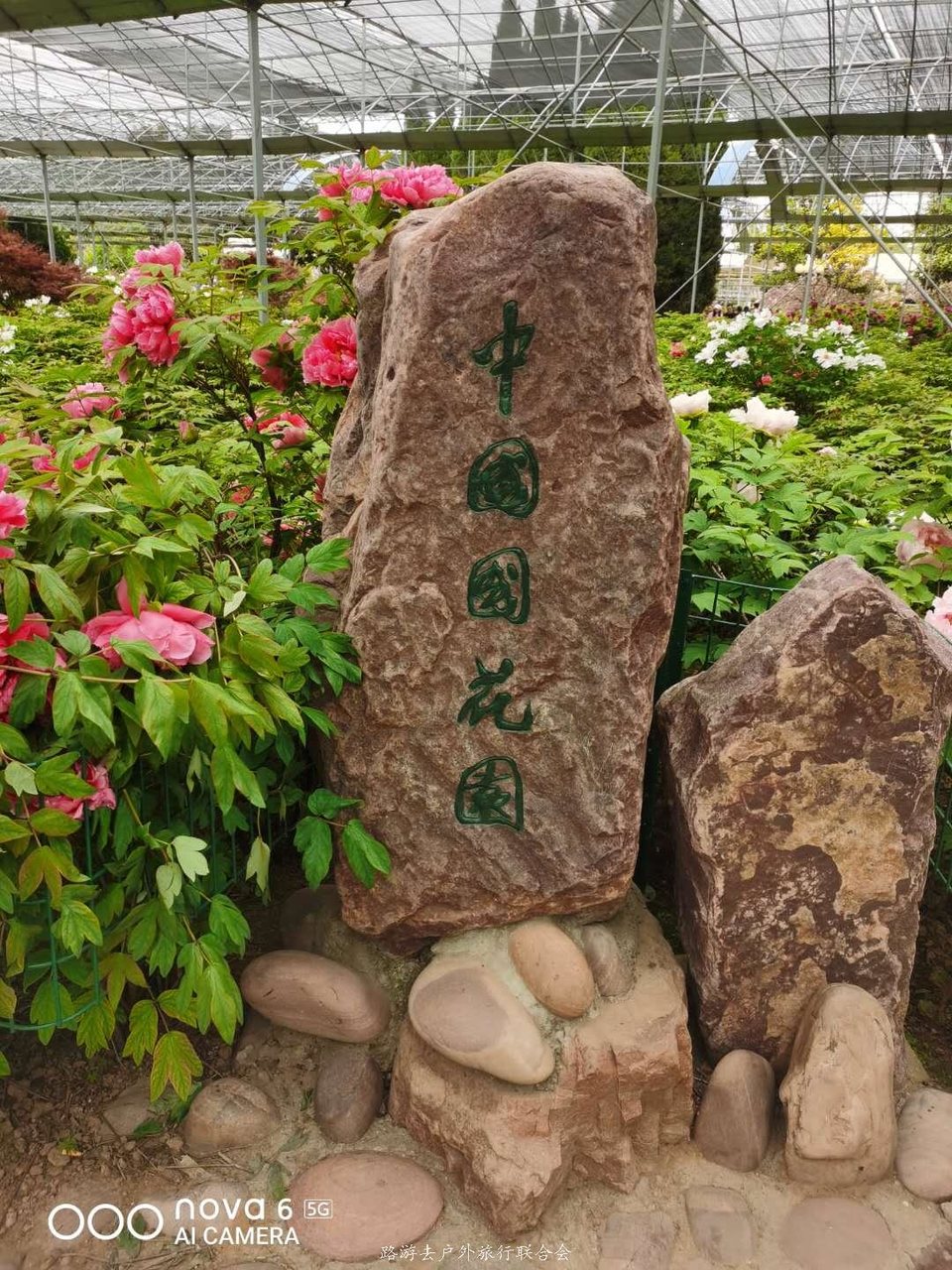 4PdT2aE2iLYXVfv4gxotlOiYzLFMbxKVN3eBqjLETZ-X0jj1V2GWjpx8kWpakInR