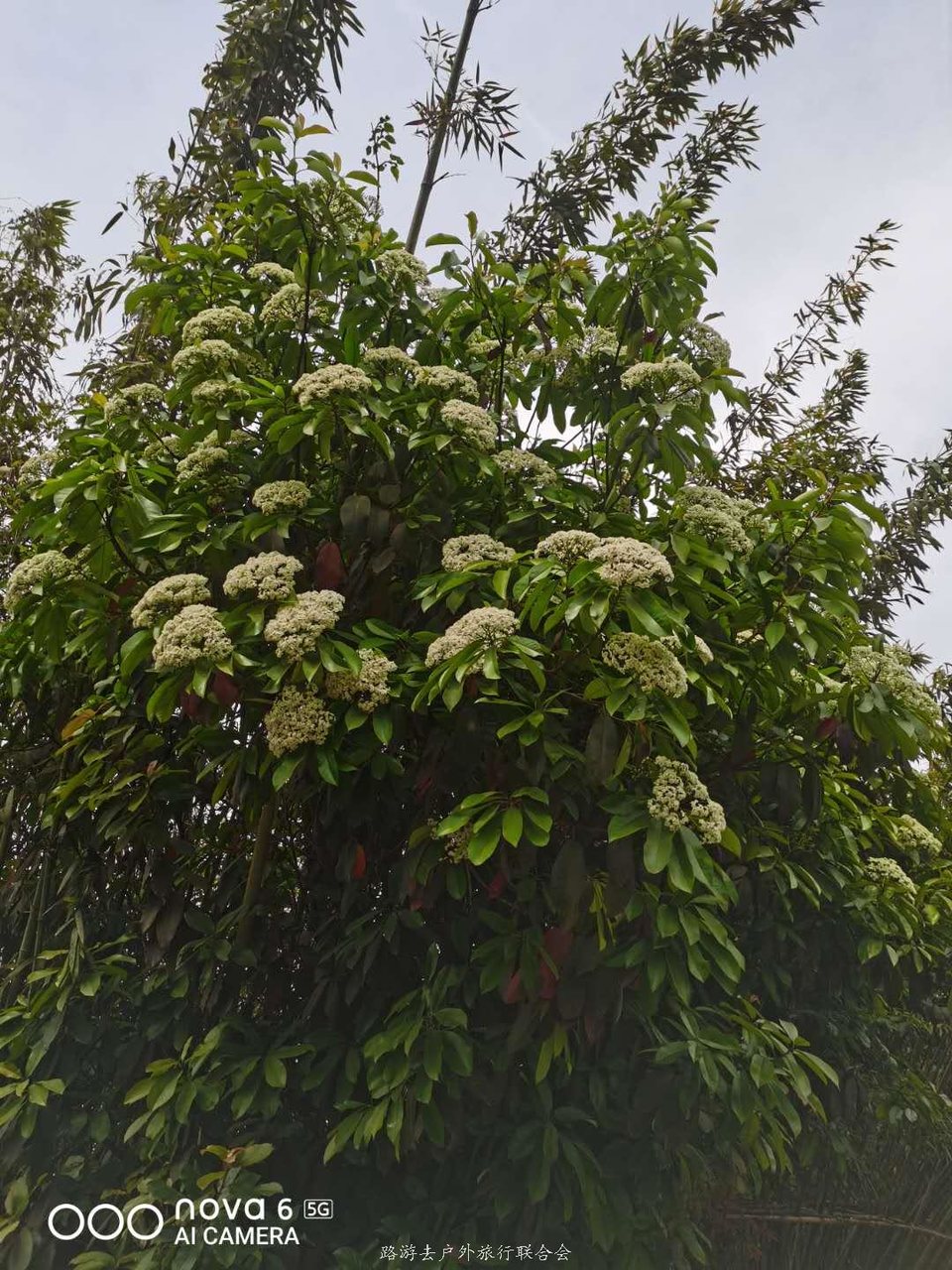 dARyfI7LTWgLlEfaHPcpb3bEAgfPNd8PmaYjAMTSX-nvIOKmvmoSk80I8idZSKId