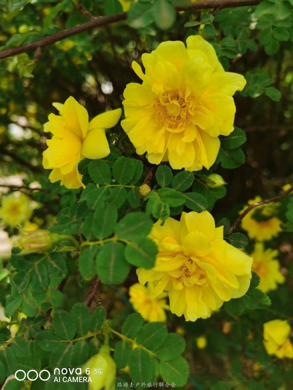 6QfrLJolwIdycagjZhTMQGDnTqu9166FrGaE_cMnpXXTvjmTHIznVdLKMSinonCr