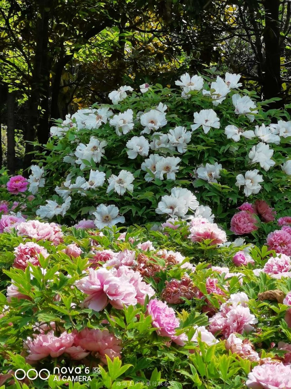 tG7gF0Uc7yuUL8TXE8D-DuhkaoqhDYJfYU1-RLO4AD4NwNvouu44DLl77w22iRXQ