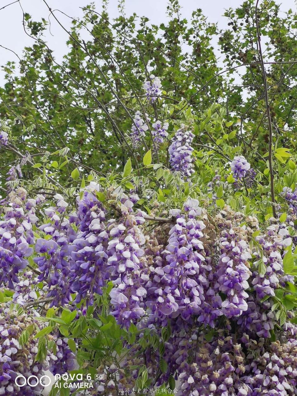 2FLVw9g7ZZsIemk6AAvB5JM3xacfuyJiIAqmlsfxvavuu8Edbq0pHj9EK14Ct7UK