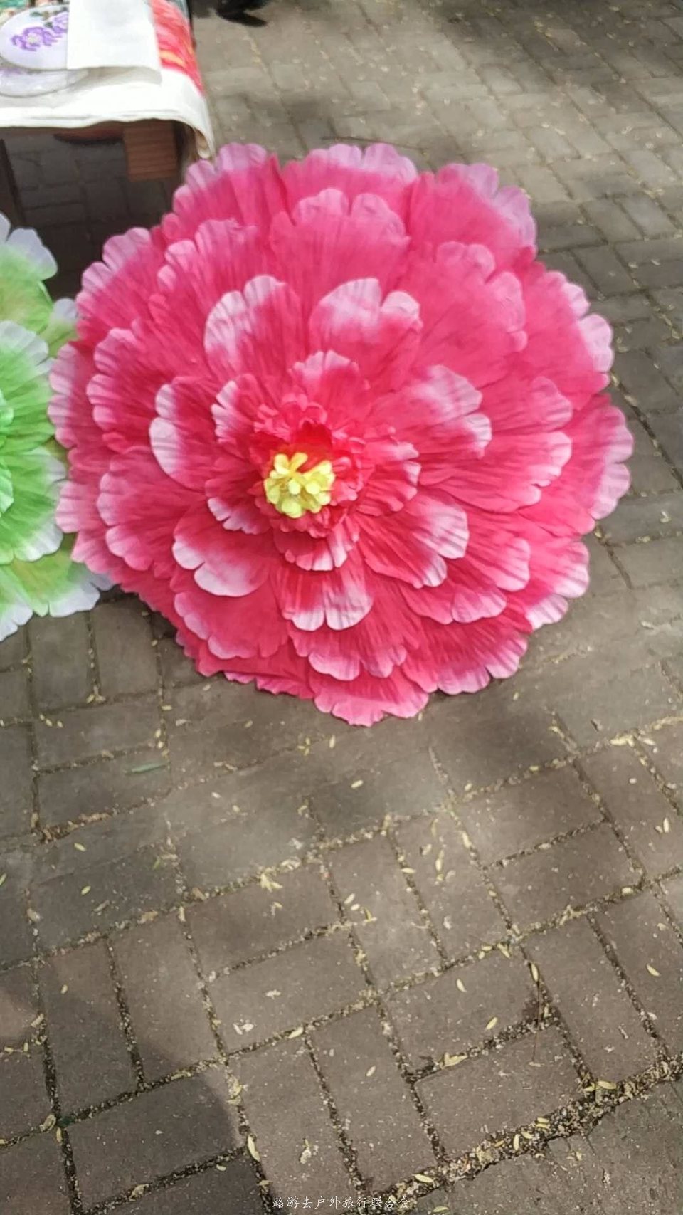 XN9nZ2a9UkftY6V6aociHiIWcp61Z3iEQ8V8QLqSBzCiBotf3zbXh8zzNAt7FEXm