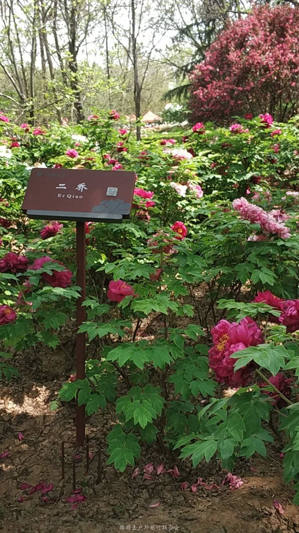 XjMXsU5R6YQEQRGFjfjV6iZOcjLwauOSRSw0ttkeEbu4bXdKT61G-yawvEbmp5Vx