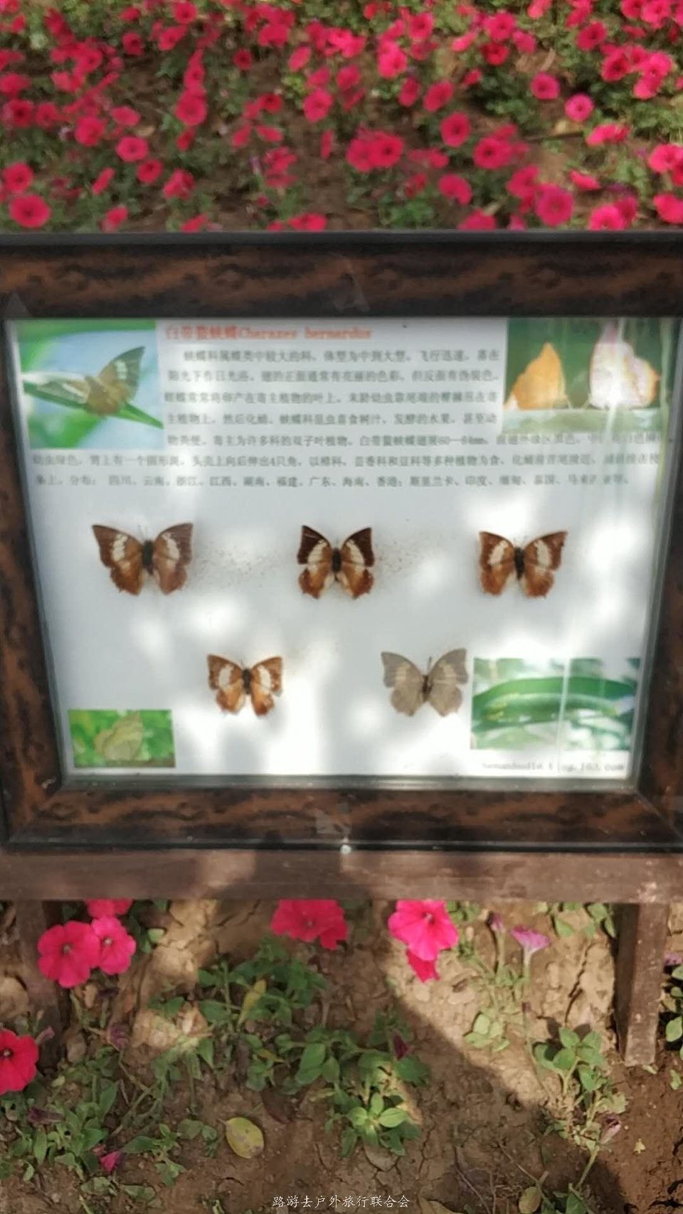 8a-Yw4Fj2kTxLGN_vJqVR051T2gZ9j_dpRyddOZ3eLk34l9SnAfR1ubAp4xYW0bM