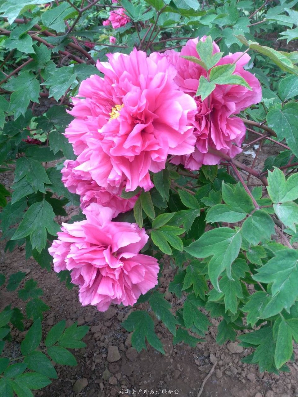 fiD1FvtL8zborlWcxiTsc2pnDRD_owgrxkQQ03T9bxxIU4rRXoduOQeevBPfFZNN