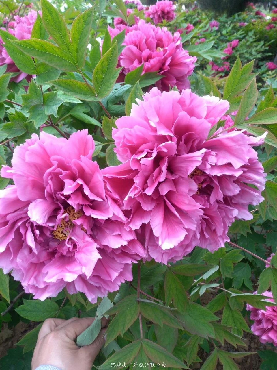 BvRKVFPunQciax8EiM4vAWIOJdT8ROdwJPBJbTjgLzh3KQoDzAoSwmmOwphnBWQf