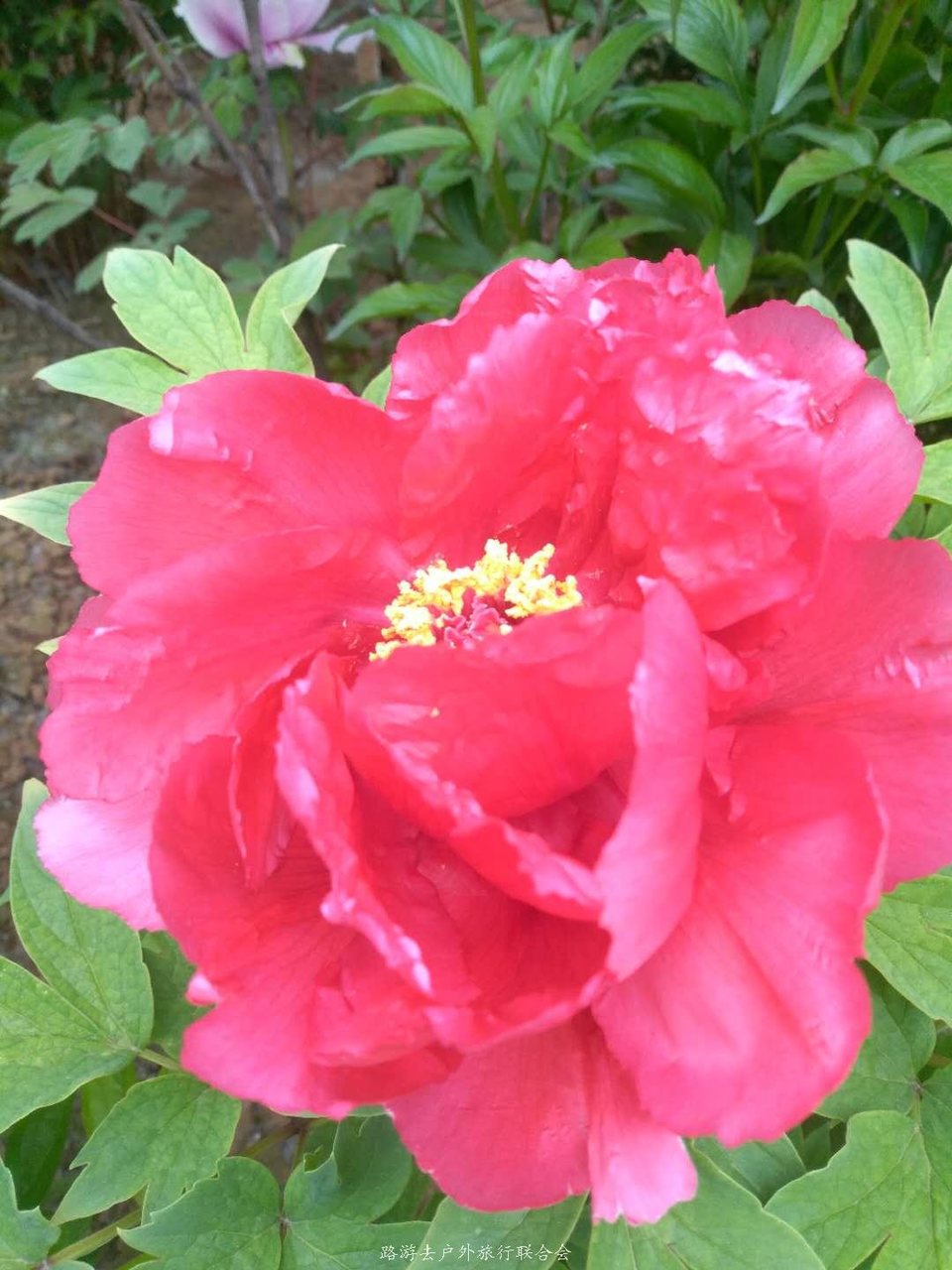 ohdsTKlMFKkijV2SgCotzt96s82PX7PKCEYhAzVVku6e2xIo0Bqrf_rJGmG0Gap4