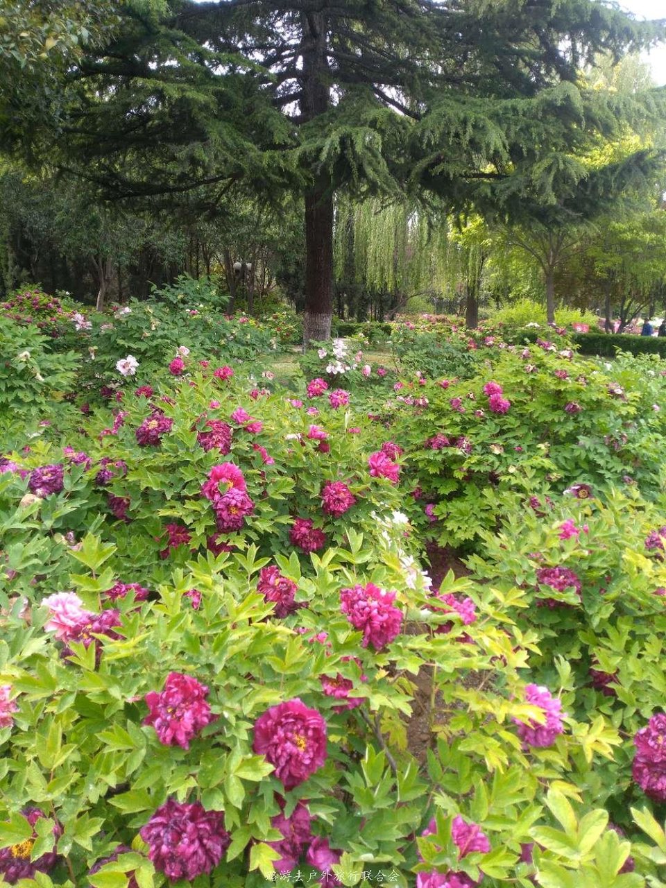 sWgoCYVfR0L8J5CR4iPpZpxEeaD5MS8sDJjcTNybWOv-iY8PMNnm10MLD-L8yw_1