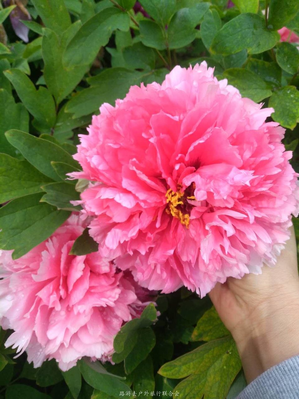 -bnWCVfIGrb9faVpkivU8SY_uagaQpoJkhbntRgfyAg-wyRRlVGtRIQHC_db7ouC