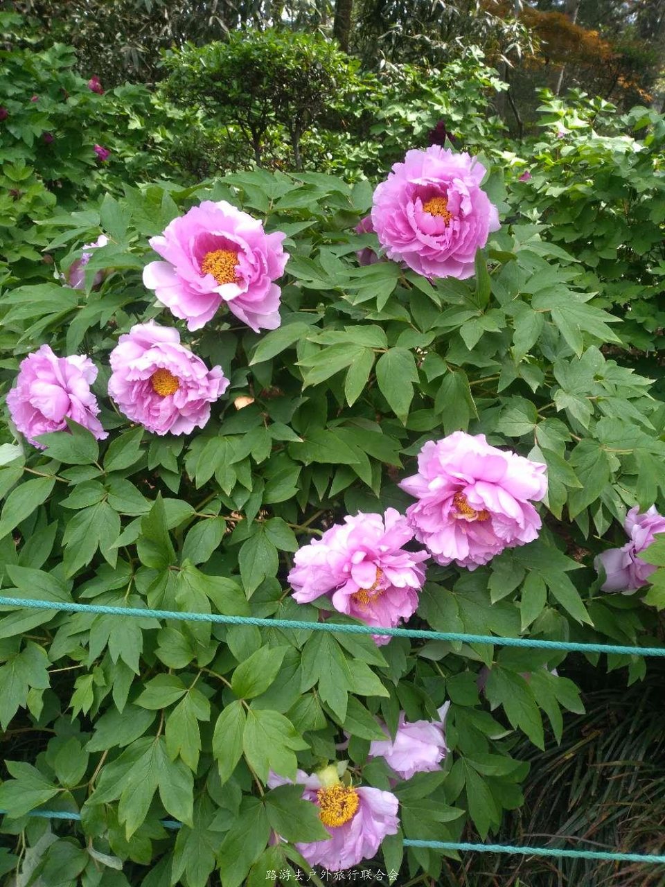 xmTPi7VjuqLjqNcevmvWf6pXksOI5d_ZXvaaX17ZKSU7kulGe0TaBU0YdVo2yjEm