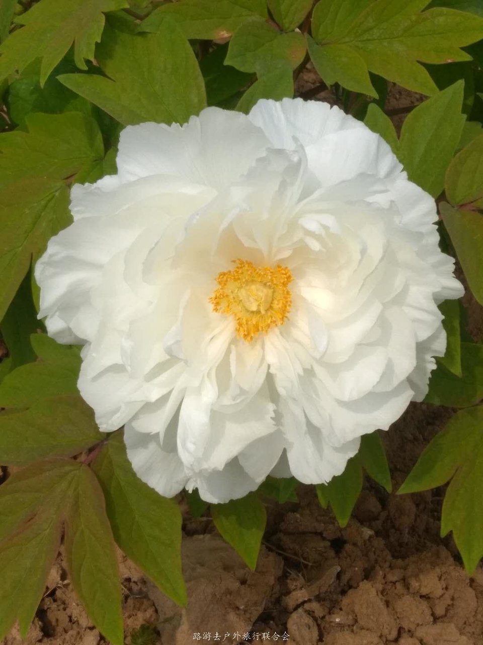 XDBXd8gueNUofiUtykoQHs9Kxc1UzaR542rOGwpirUYdCTbsiJMYDd8UEvIegbXj