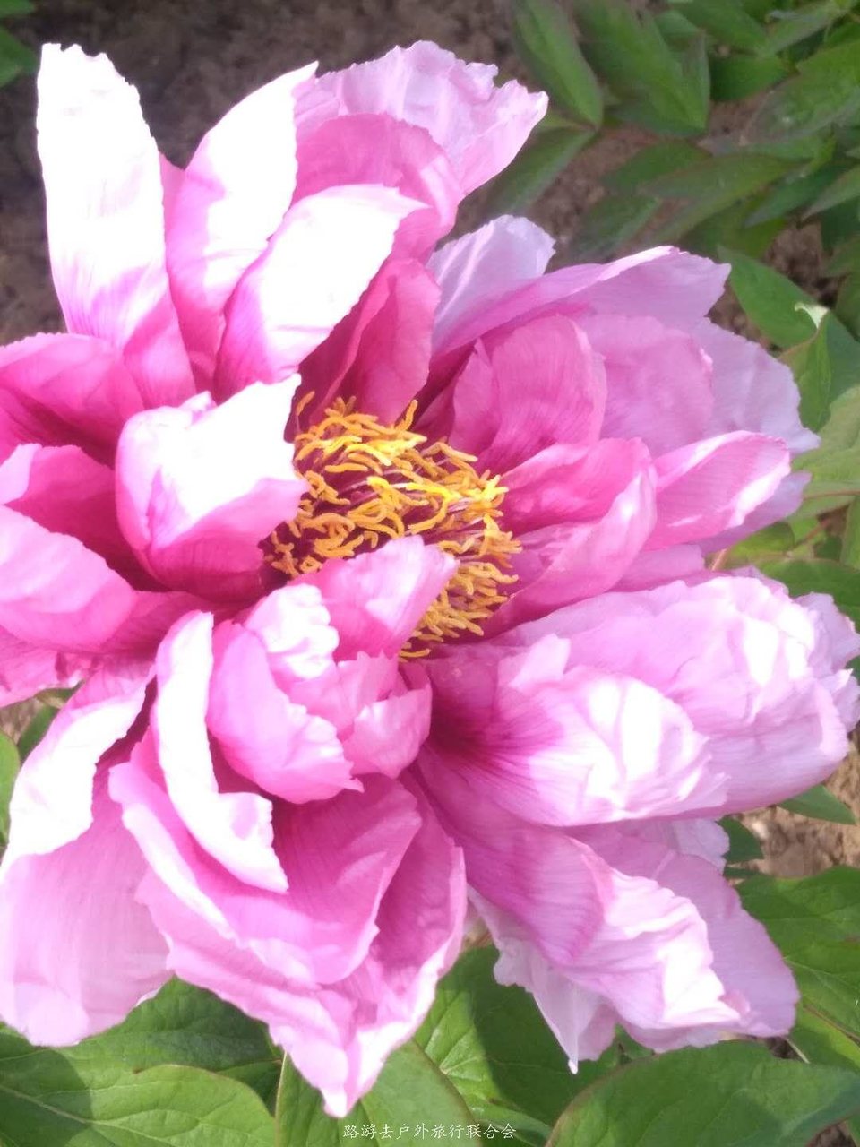 Ufc3buBXCr5JjfkwIcdVRc9RtW6_82Eh6O3ohK4qYb3qgCRH_NBoYcTuR9mWvMAG