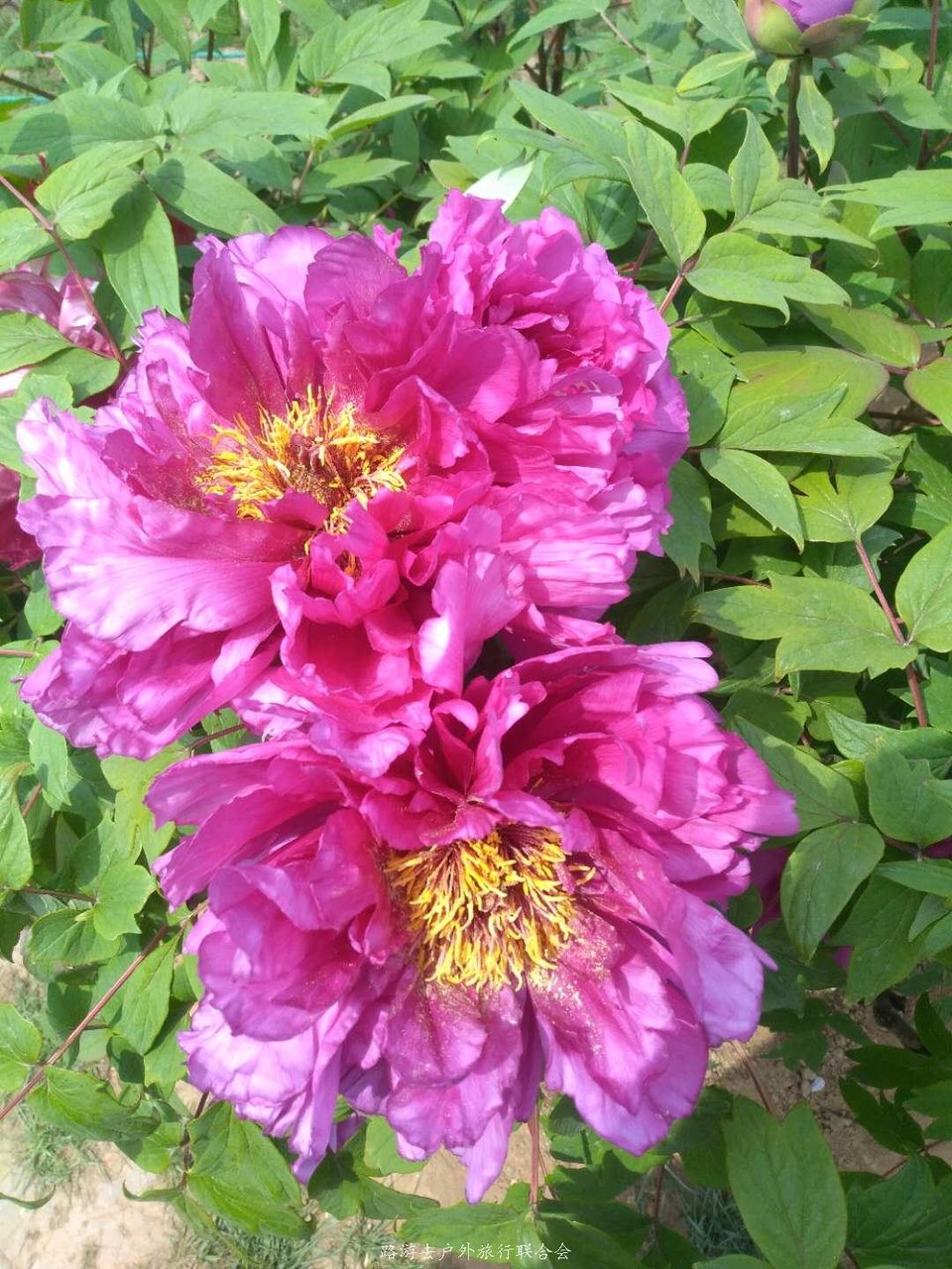 uyheZY9q6DdqvHlmUxKC2XY1_mM80LVR-kWGupA2FnoTk022Cvn-BB2ifbkeF19I