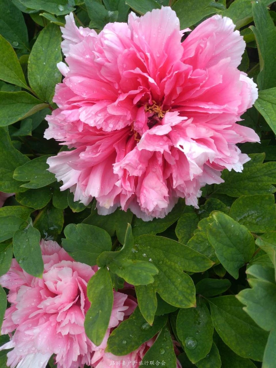 --rMWSN2MhpaWtaTBZiUA2eteEdnmPulrOwO4YIk6AxOc8DvM0eggIhbmbkiMGZO