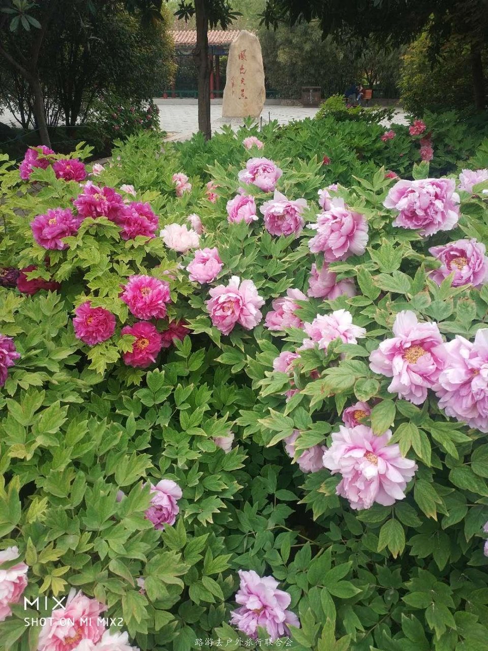 lUshLo2YIydzyol_GqHbbIXVZtzTCXV0F-p-Ps-DESWOnOcpRjYZQa8pB6X1q6BB